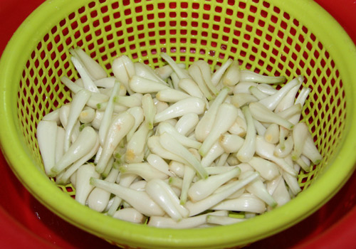 Rửa kiệu sạch với nước Rửa kiệu sạch với nước